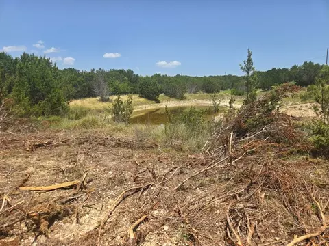 tbd Lighthouse Dr, Bluff Dale, TX 76433
