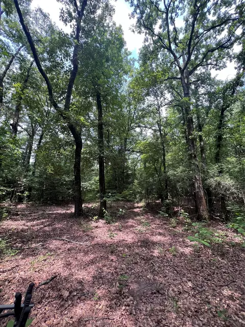 3245 Old Plain Dealing Rd, Plain Dealing, LA 71064 photo 18