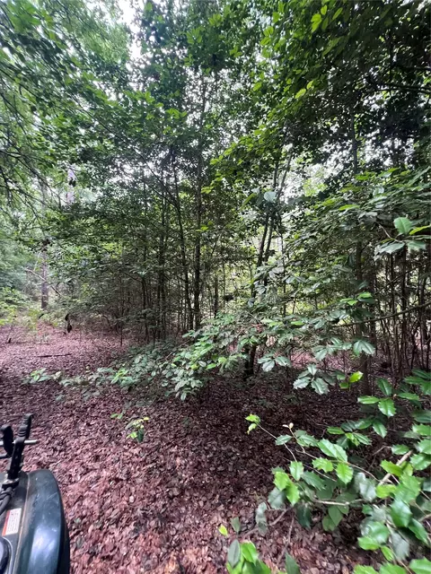 3245 Old Plain Dealing Rd, Plain Dealing, LA 71064 photo 16