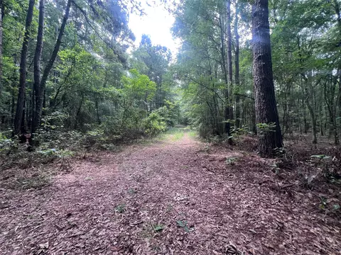 3245 Old Plain Dealing Rd, Plain Dealing, LA 71064 photo 2