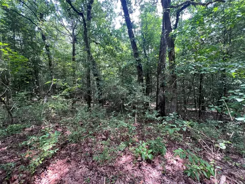 3245 Old Plain Dealing Rd, Plain Dealing, LA 71064 photo 19