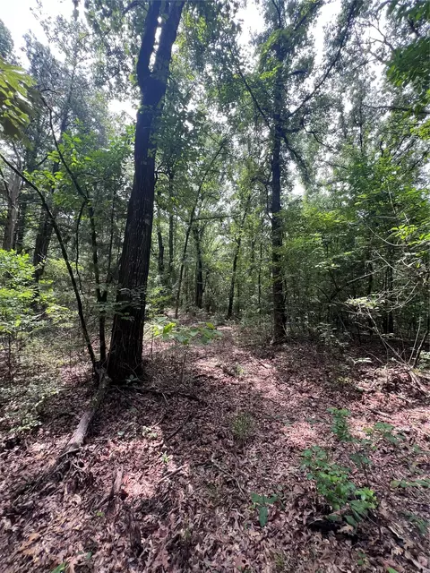3245 Old Plain Dealing Rd, Plain Dealing, LA 71064 photo 17