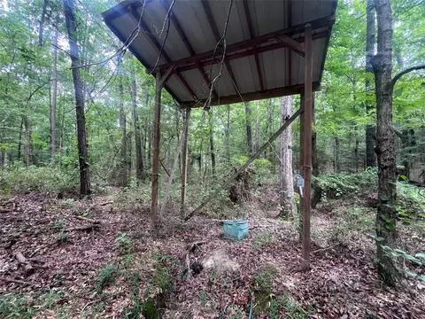 3245 Old Plain Dealing Rd, Plain Dealing, LA 71064 photo 5