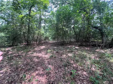3245 Old Plain Dealing Rd, Plain Dealing, LA 71064 photo 20