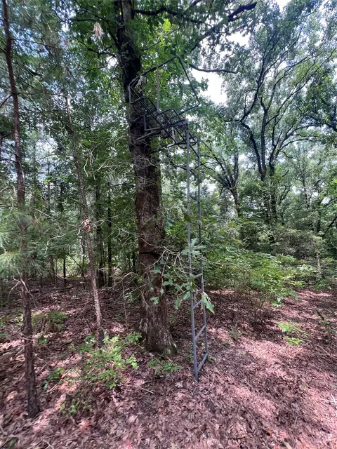 3245 Old Plain Dealing Rd, Plain Dealing, LA 71064 photo 13
