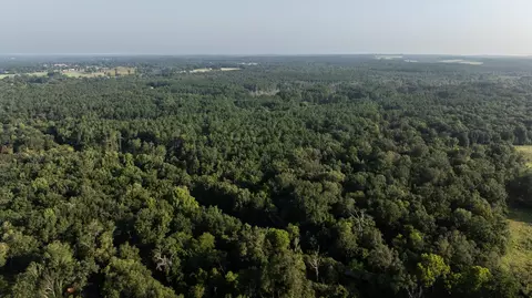 tbd Cr 461, Laneville, TX 75667