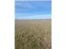 5000 Cr 5000, Lorena, TX 76655 photo 3