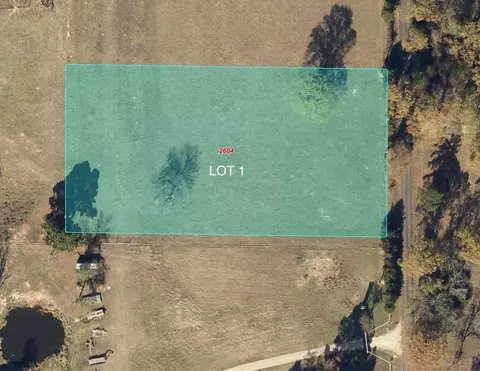 110 Rs County Road 2450, Alba, TX 75410