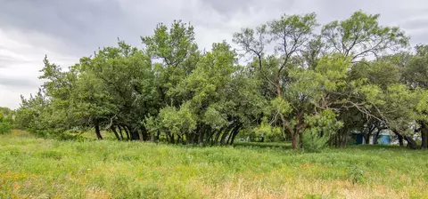 Other - 6187 Fm 586 S, Bangs, TX 76823 photo 16 of 22