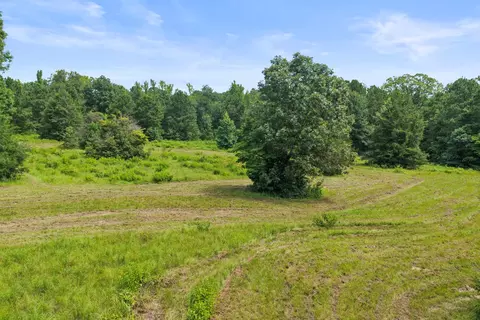1381 County Road 1763, Linden, TX 75563