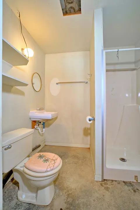 Bath - 731 Pecan Estates Loop, Hemphill, TX 75948 photo 3 of 3
