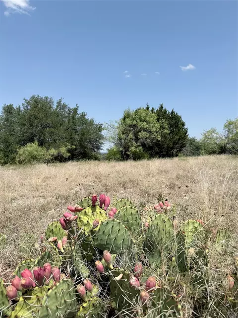 178 Twisted Creek Dr, Gustine, TX 76455 photo 20