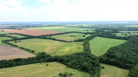 tbd Cr 1055 Rd, Celeste, TX 75423 photo 4