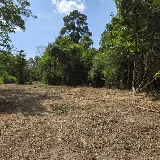 02 Percy Burns Rd, Springhill, LA 71075 photo 3