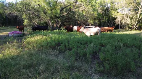 tbd Cr 244, Comanche, TX 76442 photo 8