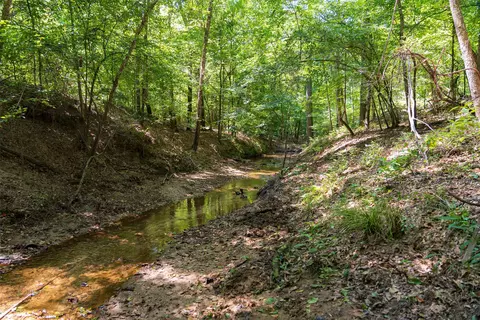 00 Tom Eubanks Rd, Gladewater, TX 75662