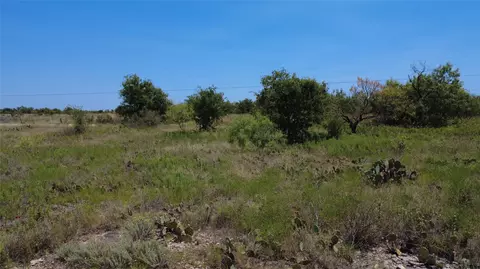0000 County Road 161, Bangs, TX 76823 photo 8