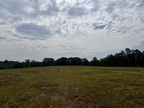 151 Campbell Rd, Converse, LA 71419 photo 12