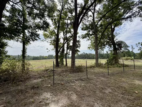 151 Campbell Rd, Converse, LA 71419 photo 10