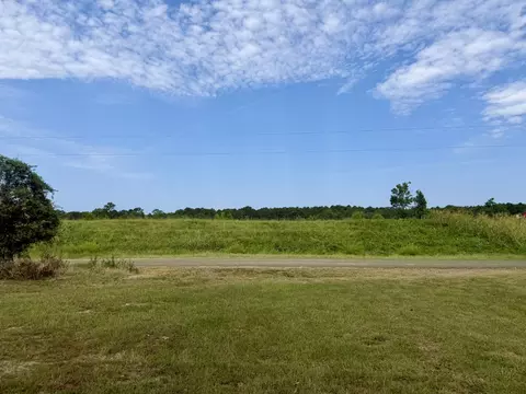 151 Campbell Rd, Converse, LA 71419 photo 18