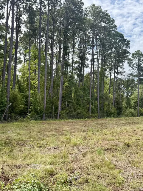 151 Campbell Rd, Converse, LA 71419 photo 17