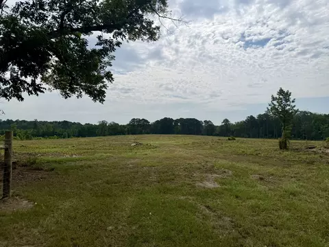 151 Campbell Rd, Converse, LA 71419 photo 11