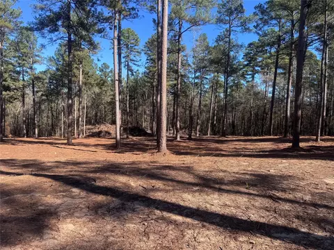 0 Cotton Ln, Minden, LA 71055 photo 3