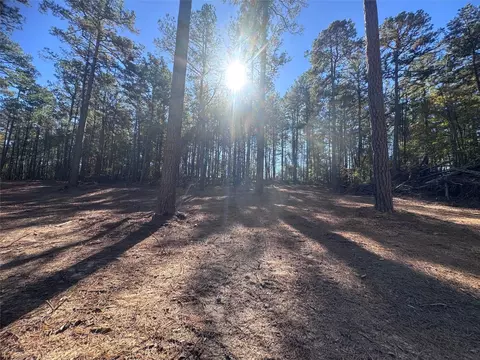 0 Cotton Ln, Minden, LA 71055 photo 2