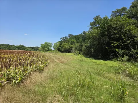 450 County Road 250, Gustine, TX 76455 photo 39
