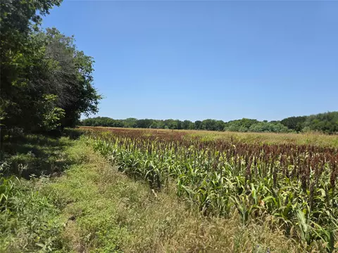 450 County Road 250, Gustine, TX 76455 photo 37