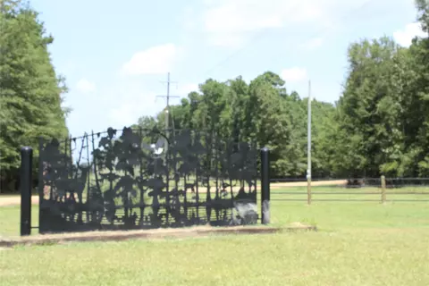 19-20 N Eagle Brook Dr, Lewisville, AR 71845