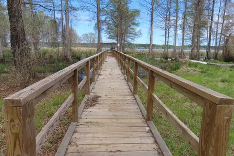 19-20 N Eagle Brook Dr, Lewisville, AR 71845
