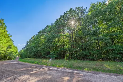 2346 County Road 4284, Simms, TX 75574 photo 7