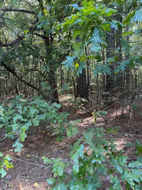 2346 County Road 4284, Simms, TX 75574 photo 5