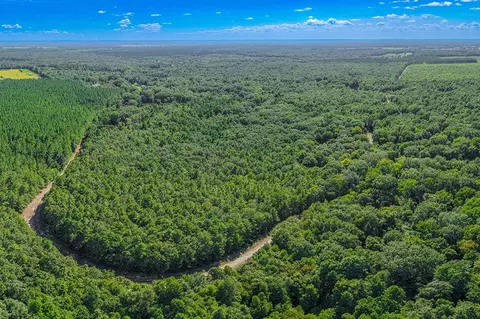 2346 County Road 4284, Simms, TX 75574 photo 8