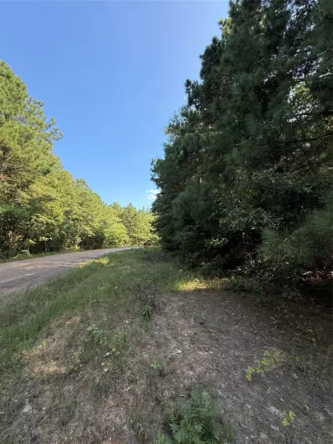 2346 County Road 4284, Simms, TX 75574 photo 4