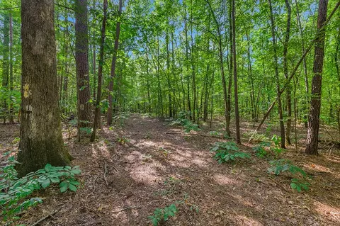 2346 County Road 4284, Simms, TX 75574 photo 5