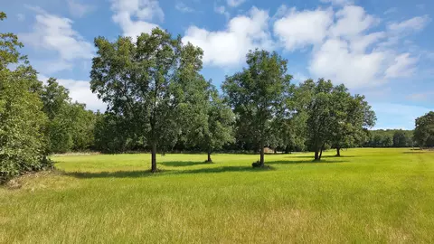 415 Southwood St, Bowie, TX 76230