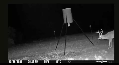tbd Georgia Pass, Desdemona, TX 76445