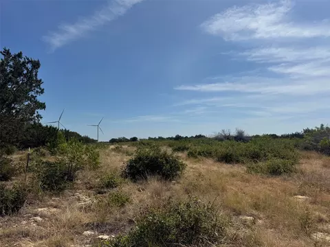 tbd Georgia Pass, Desdemona, TX 76445