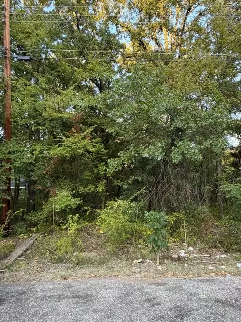132 Chapperall Dr, Mabank, TX 75156