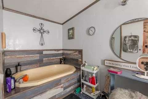 Bath - 3966 Fm 2210 E, Perrin, TX 76486 photo 5 of 6