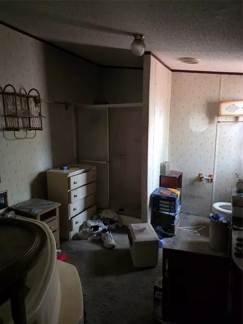 Bath - 1687 Northshore Rd, Hawk Cove, TX 75474 photo 5 of 5