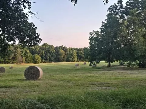 20086 County Road 299, Arp, TX 75750