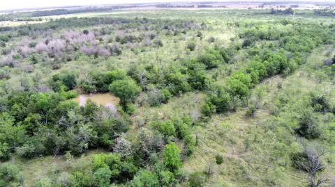 000 Lcr 663, Kosse, TX 76653
