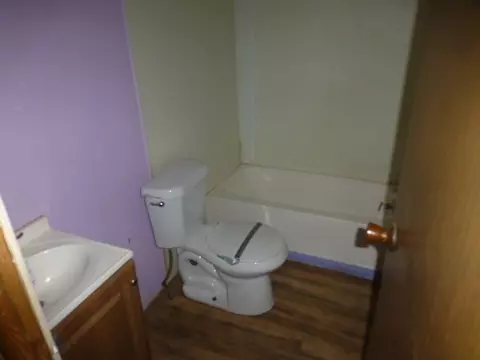 Bath - 119 Hayes Ct, Springtown, TX 76082 photo 3 of 3