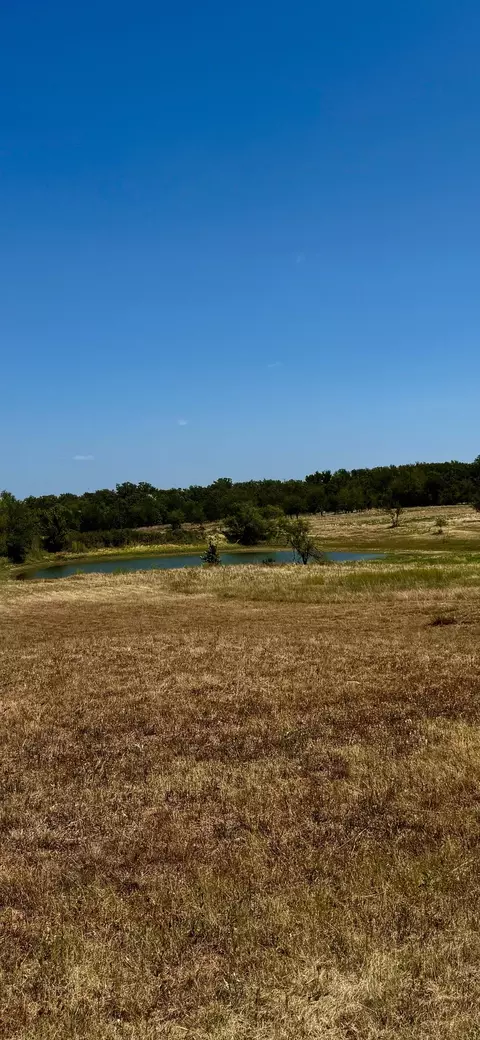 2005 Hilltop Cv, Springtown, TX 76082 photo 3