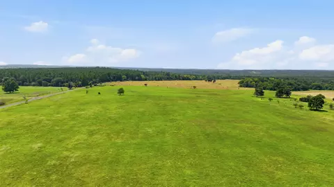 lot3 C R 3689, No City, TX 75755