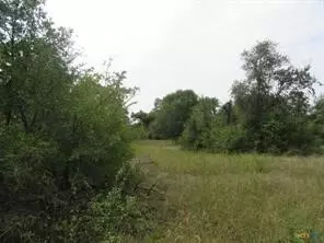 507 County Road 405, Buckholts, TX 76518 photo 5