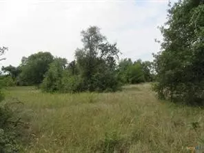 507 County Road 405, Buckholts, TX 76518 photo 6
